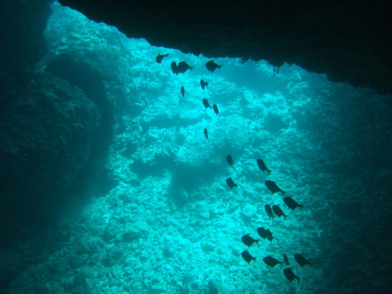 ユニークな地形